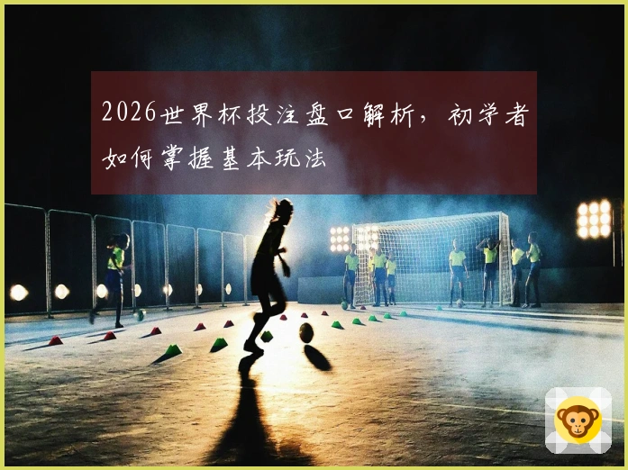 2026世界杯投注盘口解析，初学者如何掌握基本玩法