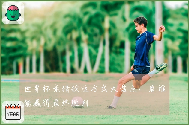世界杯竞猜投注方式大盘点，看谁能赢得最终胜利