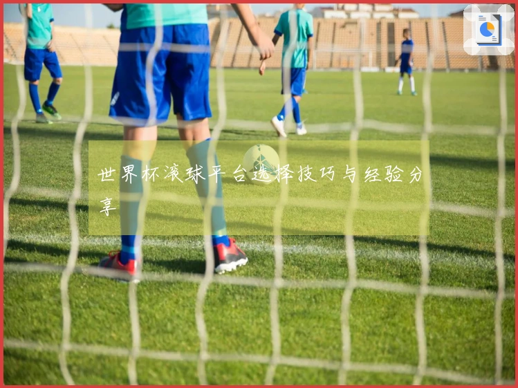 世界杯滚球平台选择技巧与经验分享