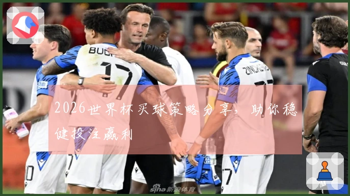 2026世界杯买球策略分享，助你稳健投注赢利
