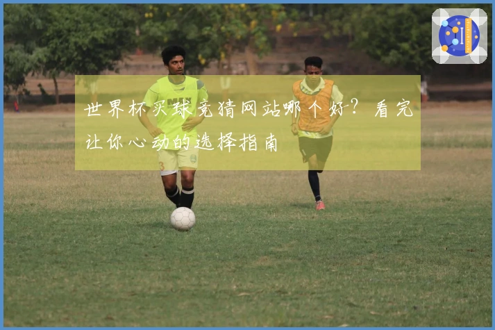 世界杯买球竞猜网站哪个好？看完让你心动的选择指南