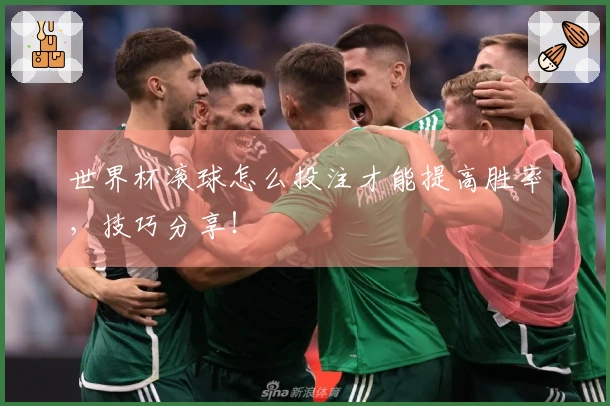世界杯滚球怎么投注才能提高胜率，技巧分享！