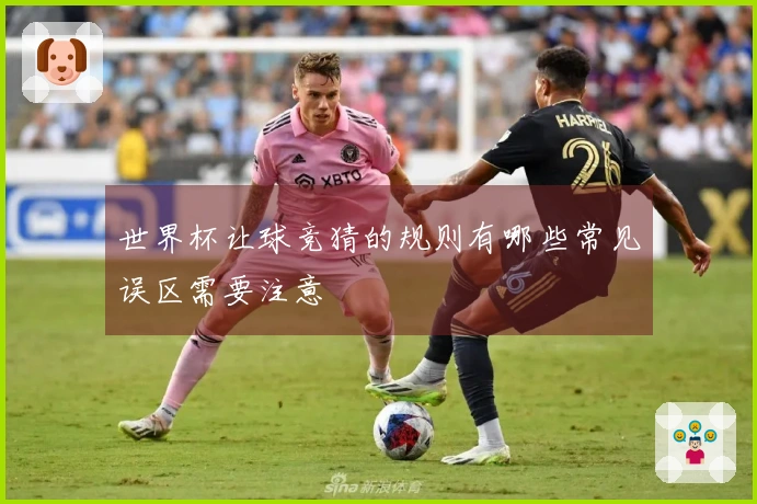 世界杯让球竞猜的规则有哪些常见误区需要注意