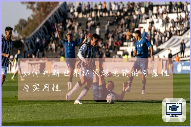如何判断世界杯买球竞猜的可靠性与实用性