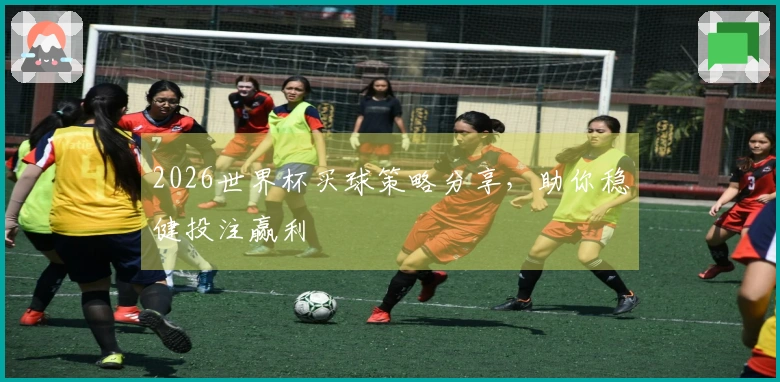 2026世界杯买球策略分享，助你稳健投注赢利