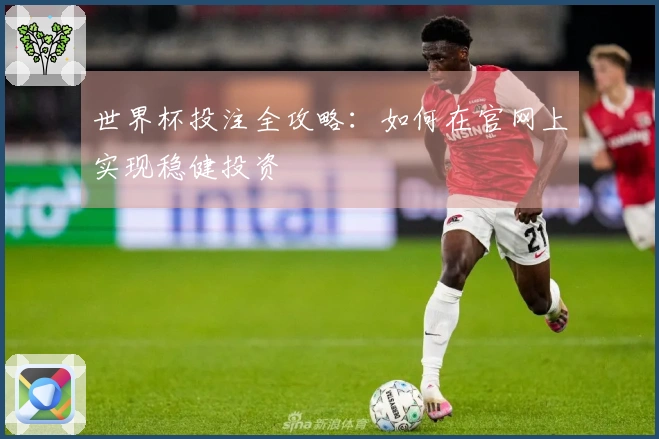 世界杯投注全攻略：如何在官网上实现稳健投资