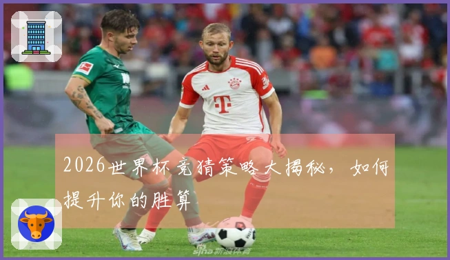 2026世界杯竞猜策略大揭秘，如何提升你的胜算